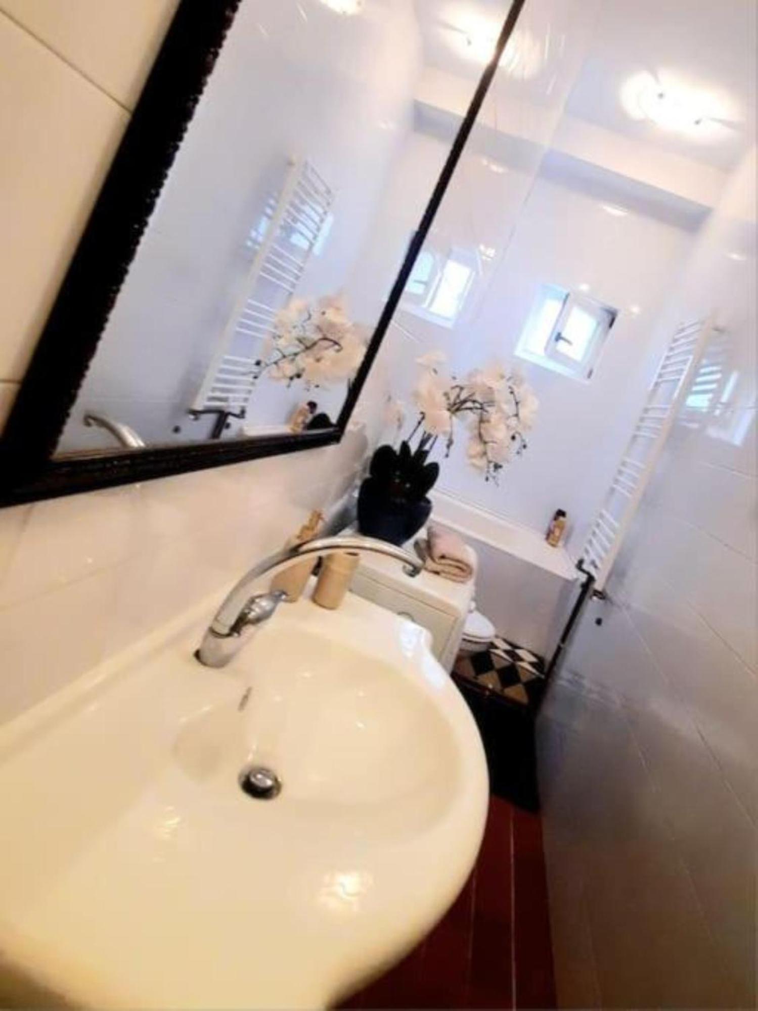 Timisoara Central 2 Bedroom Hotel Serviced Belle Vue Apart By The Park Esterno foto